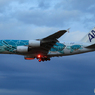「群青色」FLYING Honu A380 JA382A Landing