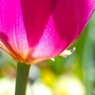 冬のアンデルセン公園～ⅸ