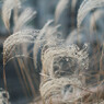 Winter notes