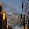 新宿上空