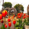 冬のアンデルセン公園～xvii