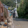 カメラのおじさんがじらされる