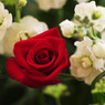 IMGP3029-1