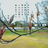写真歌：翼果