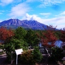 桜島の公園には句碑が多かった