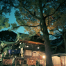 2013初詣1
