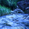 kashihara1