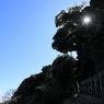 江ノ島観光　江ノ島の東側