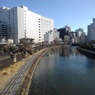 都会の川（2月7日）