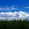 翔けたい空
