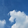 秋の空