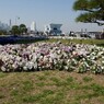 花壇