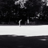 planche à roulettes