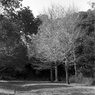 「冬公園」 (film)
