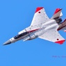 F-15J テスターカラー 岐阜基地