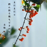 写真句：写真エッセイ：踏ん張り