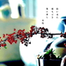 写真句：一輪挿し