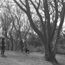 「散歩道」 (film)