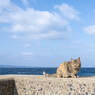 少しフレンドリーになってた