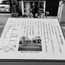 タワー或いはツリーと暮らす街