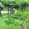 横浜三渓園