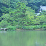 横浜三渓園