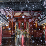 帰ってきた冬将軍: 浅草寺編