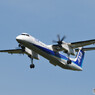 ANA Wings