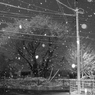 雪の公園