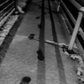 雪の足跡