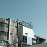 谷根千散策２０