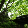 MOA美術館2