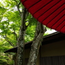 MOA美術館3