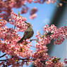 大砲を振り回してみる