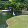 栗林公園にて