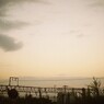 ﻿フィルムも、、、　