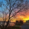 淀川夕景　私の散歩道
