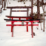 赤城山登山①(フィルム)