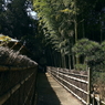 写真エッセイ：偕楽園散歩６：竹林１