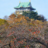 大阪城天守閣を臨む