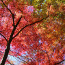 昇仙峡の紅葉