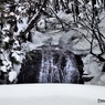 雪の中の滝