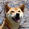 ポカポカだね
