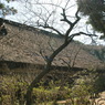旧矢箆原家住宅