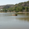 池