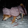 雪ん子