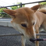 お宝発見！！