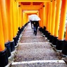 雨の参拝