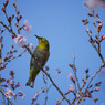 どこまで来ているのかな？