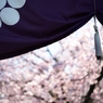 spring for tokyoites 2025